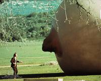 Кадр Все, что вы хотели знать о сексе, но боялись спросить