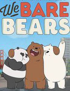 Вся правда о медведях