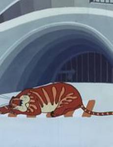 Бабочка и тигр