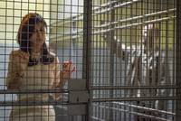 Кадр Париж любой ценой