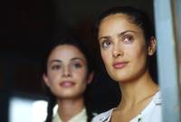 Кадр Времена бабочек