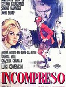 Не­понятый