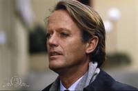 Кадр Розовый сад