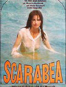 Сколько земли нужно человеку?