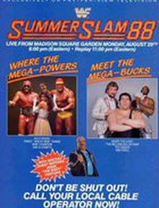 WWF Летний бросок (видео)