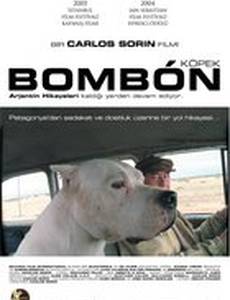 Аргентинский дог