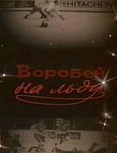 Воробей на льду