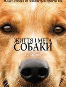 Собачья жизнь (Жизнь и цель собаки)