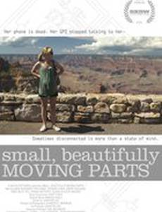 Маленькие, прекрасные юркие создания