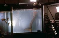 Кадр Всплеск