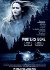 Зимняя кость