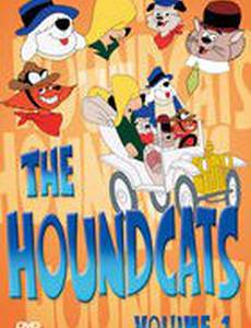 Коты-ищейки