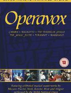 Мультопера