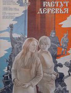 И на камнях растут деревья