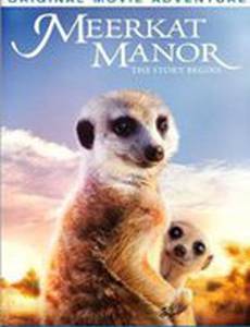 Поместье сурикатов: Начало истории