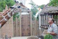 Кадр Охранник зоопарка