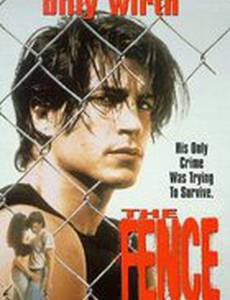 The Fence
