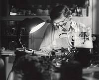 Кадр Начальная школа