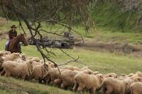 Кадр Дочери Маклеода