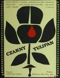 Постер из фильма "Черный тюльпан" - 1