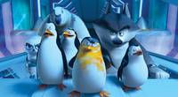 Кадр Пингвины Мадагаскара