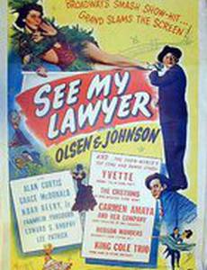 Он мой адвокат