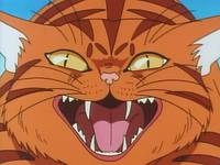 Кадр Вперед! Школьная секция пинг-понга