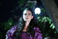 Кадр Королёк – птичка певчая