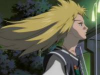 Кадр 12 королевств