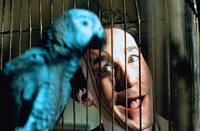 Кадр Комедианты-музыканты