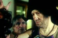 Кадр Цветы календулы