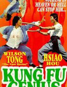 Гений кунг-фу