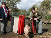 Кадр Непутёвая учёба