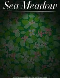 Морской луг