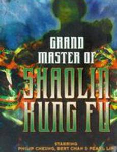 Великий магистр Шаолинь кун-фу