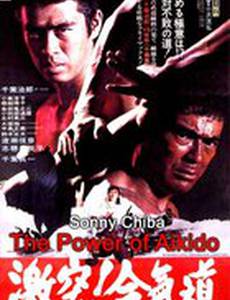 Сила Айкидо