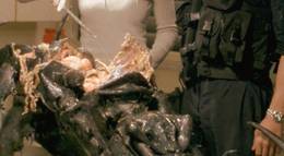 Кадр из фильма "Жуки" - 2