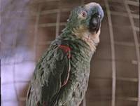 Кадр За двумя зайцами