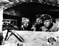 Кадр Собаки, хотите жить вечно?