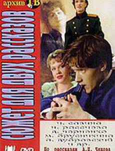 Сюжет для двух рассказов