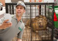 Кадр К черту на рога (У черта на куличках)