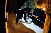 Кадр Американский оборотень в Париже