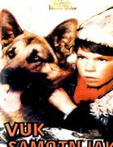 Одинокий волк