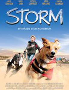Шторм