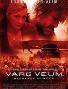 Зарытые собаки (видео)