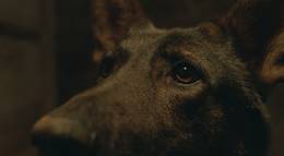 Кадр из фильма "Брут" - 1