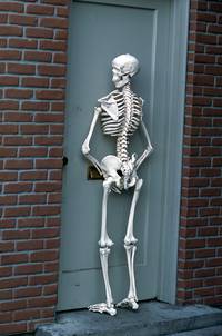 Кадр Луковые новости