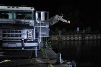 Кадр Выживание мертвецов