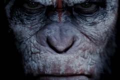 Рассвет планеты обезьян