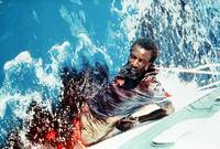 Кадр Огневая мощь